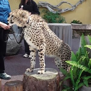 Meet your Posher, Won